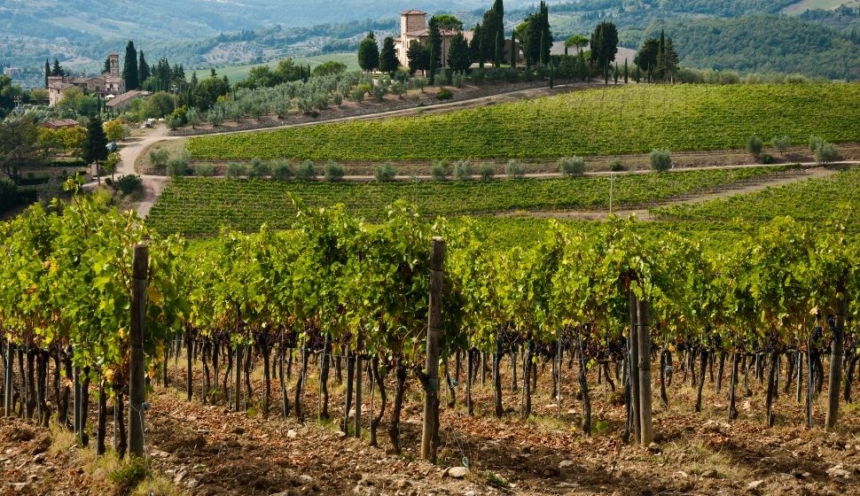 Chianti